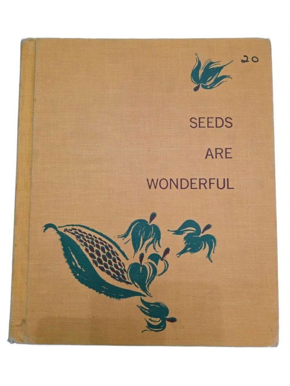 Vintage Seeds Are Wonderful 1963 Hardcover Childrens Nature Botany Book Illust